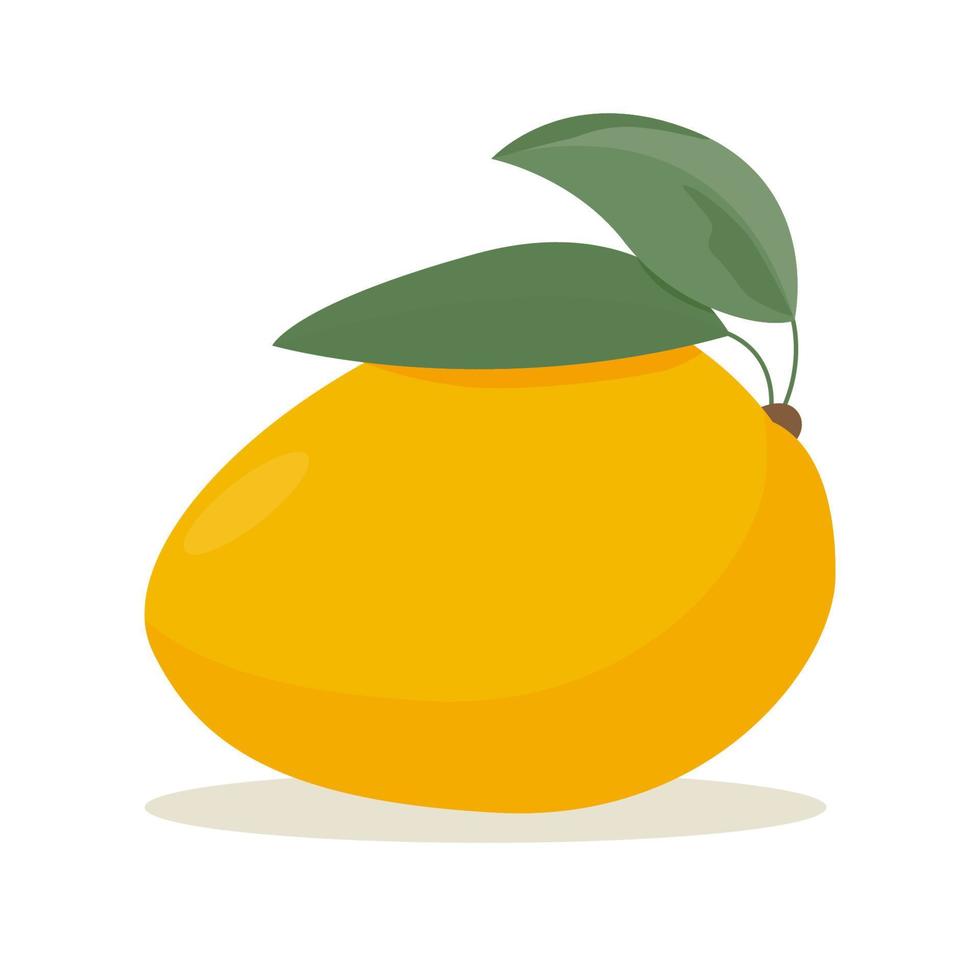 fruta de verano de mango aislada sobre fondo blanco para el diseño vector