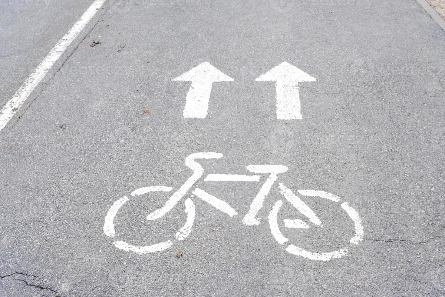 Road markings of a bicycle path in a park on a riding lane. A sidewalk for pedestrians and a lane for cyclists. Rules of road safety, active recreation area photo