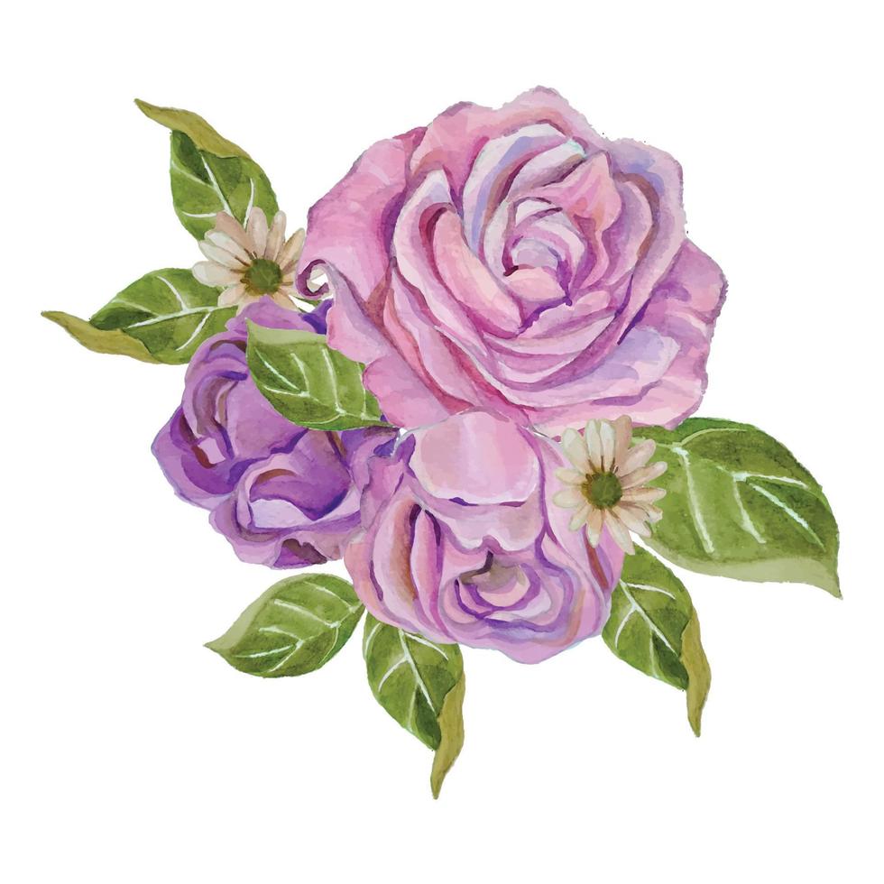 pink rose watercolor bouquet vector