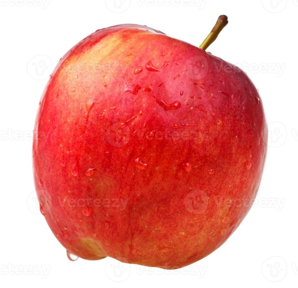 red wealthy apple photo