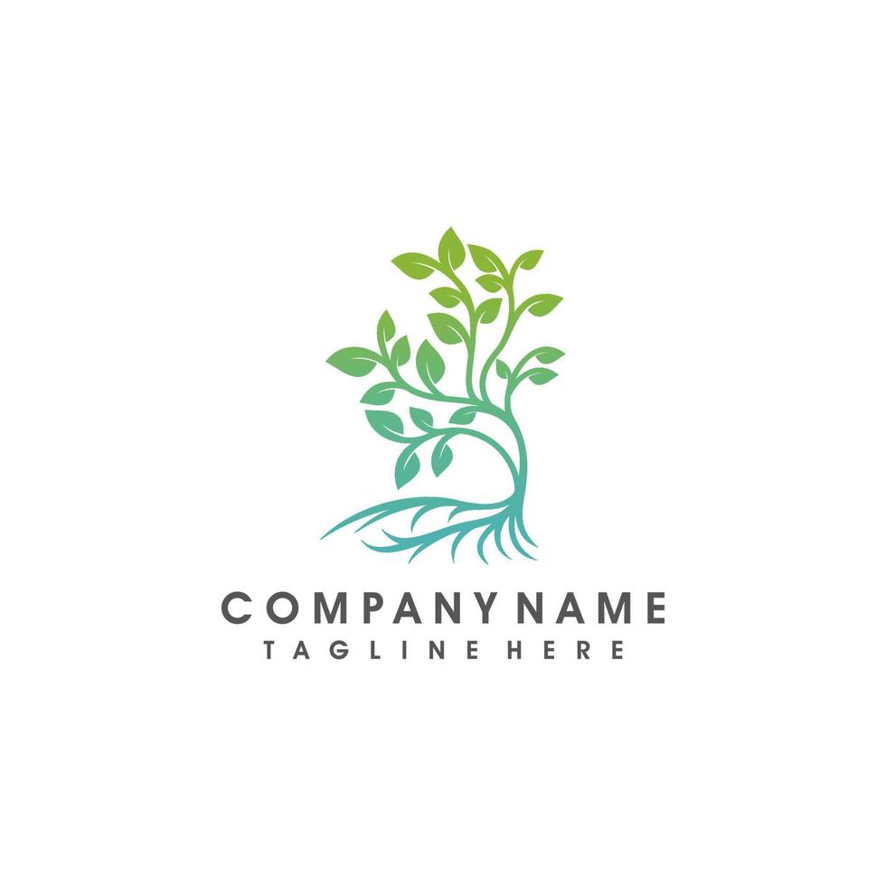 Tree logo design vector