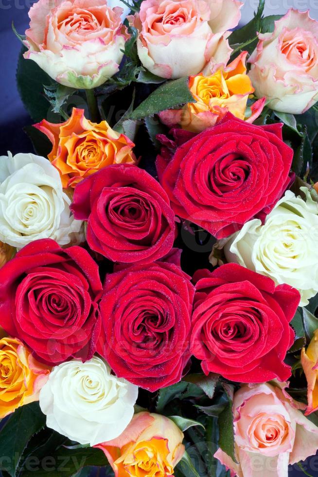 bunch of roses photo