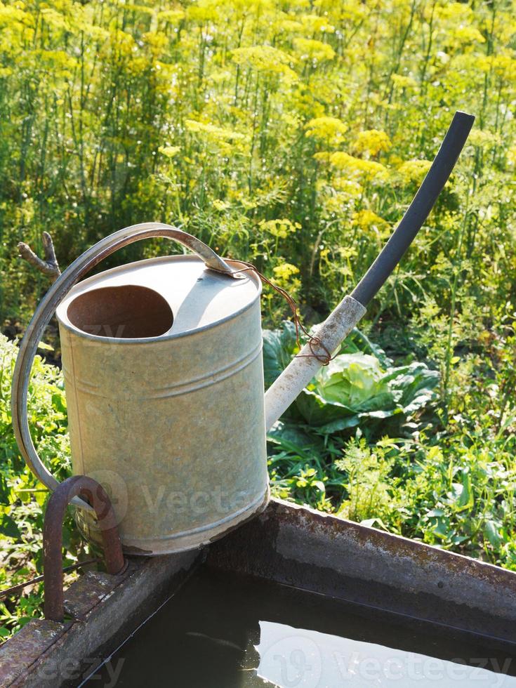 watering can on basin with water for garden photo