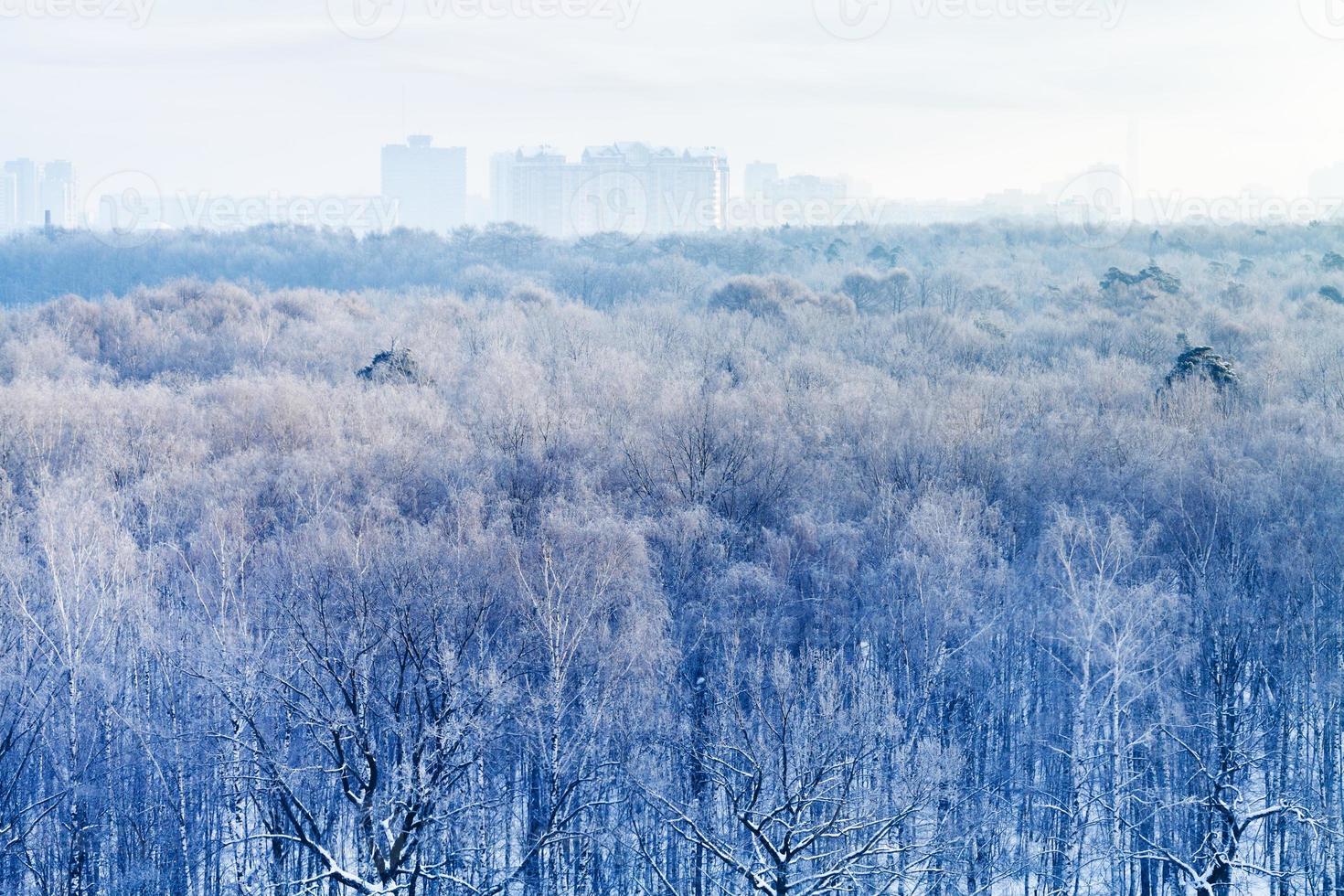 early morning over frozen urban park in winter photo