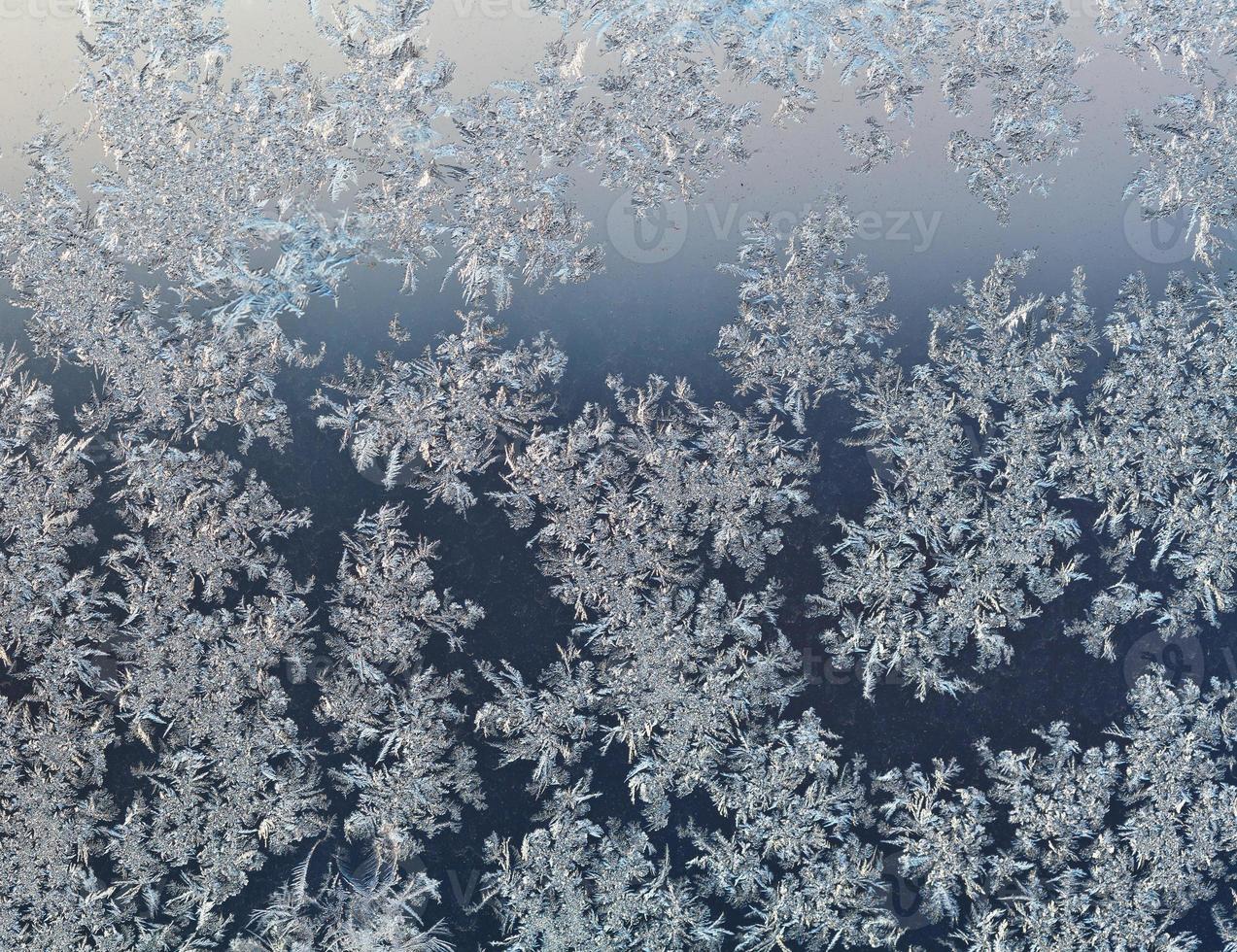snowflakes on windowpane at early winter dawn photo