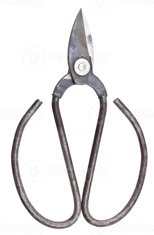 closed retro sewing scissors isolated on white photo