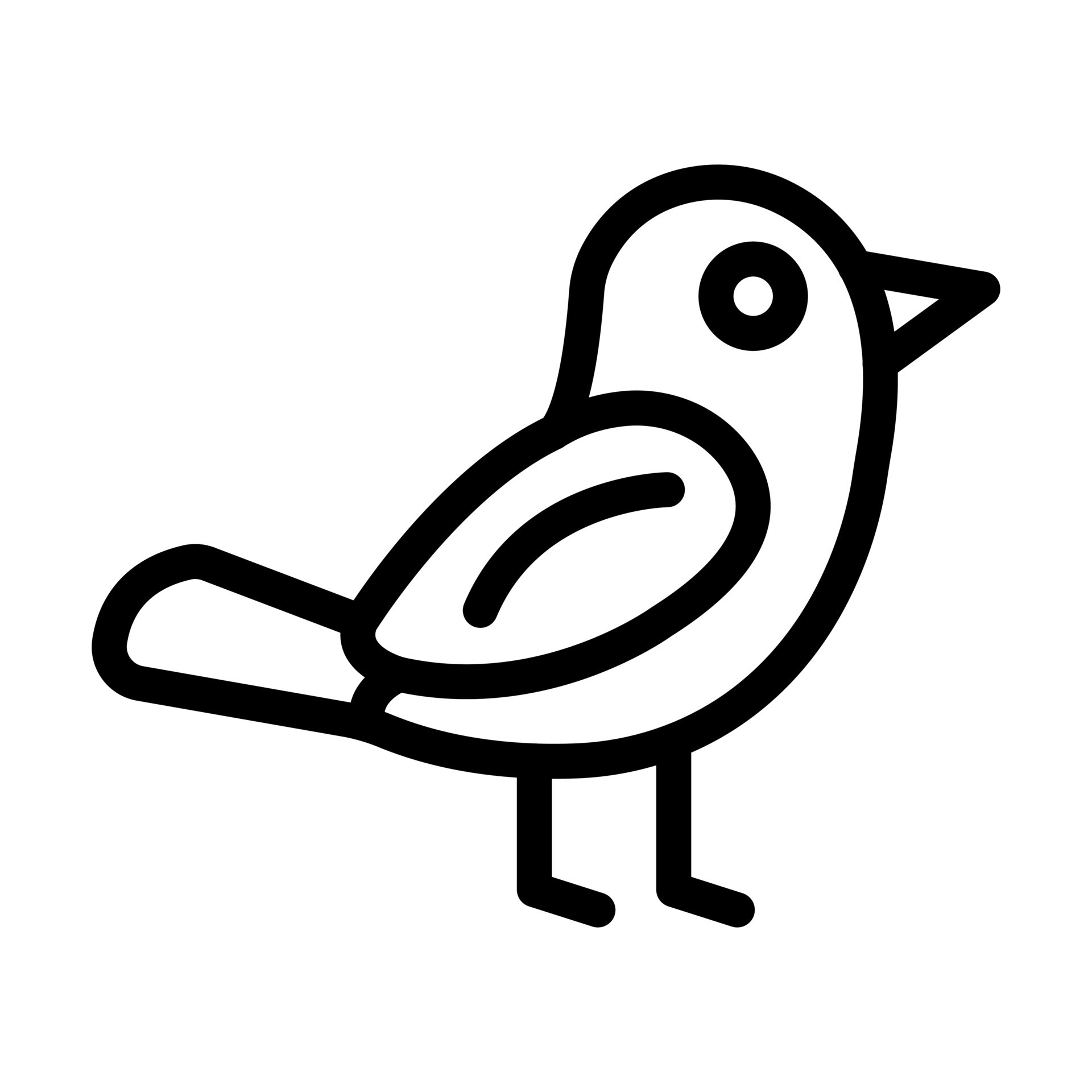 Bird Icon Design 11852745 Vector Art at Vecteezy