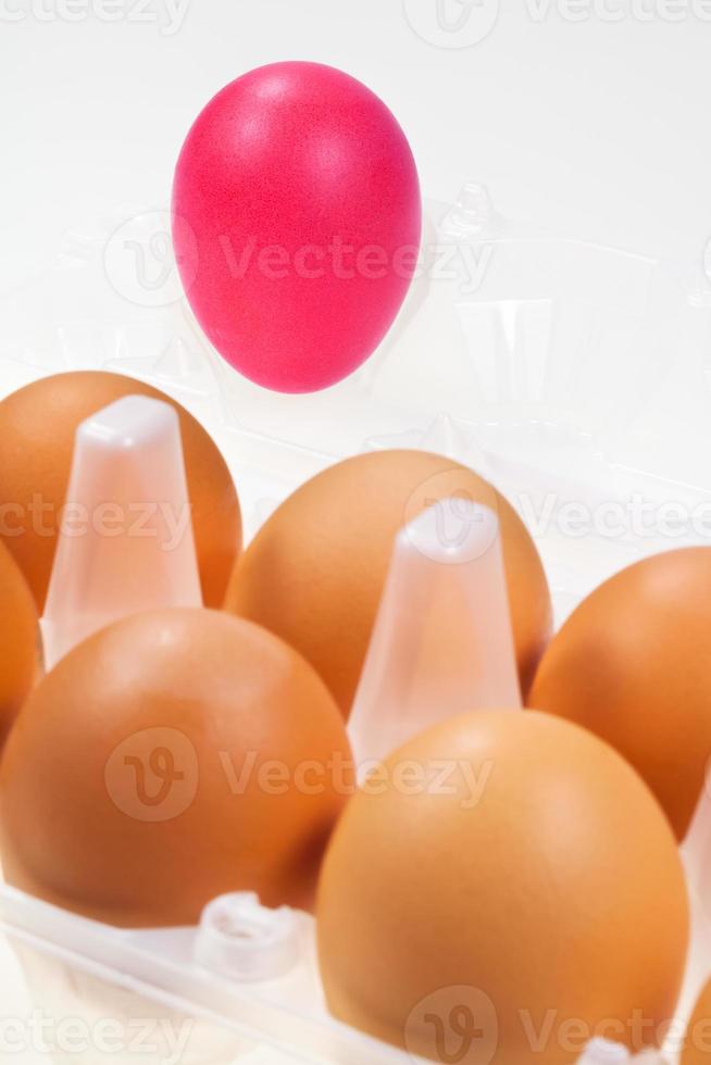one separate pink hen's egg photo