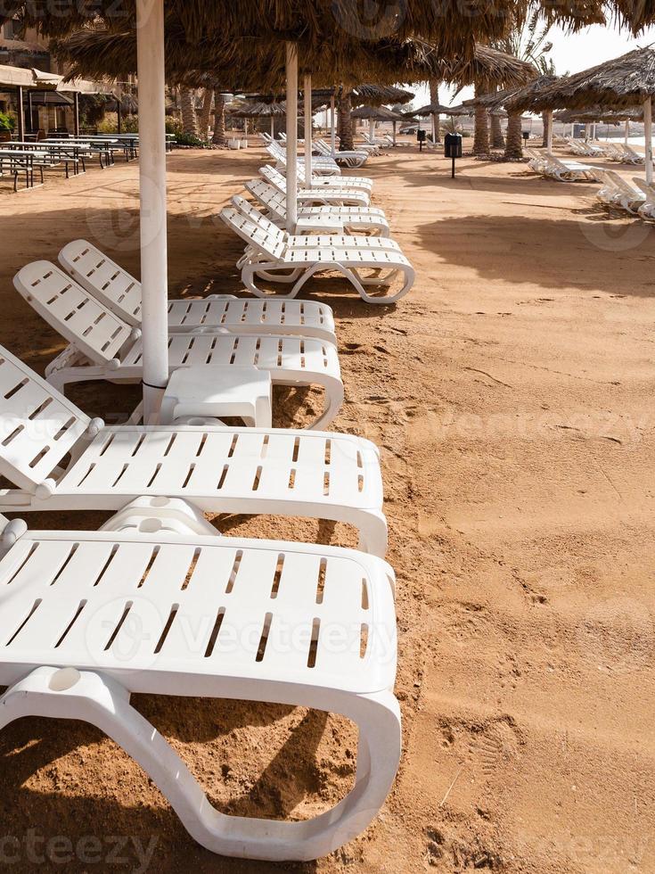 empty sunbeds on beach in Aqaba city in winter photo