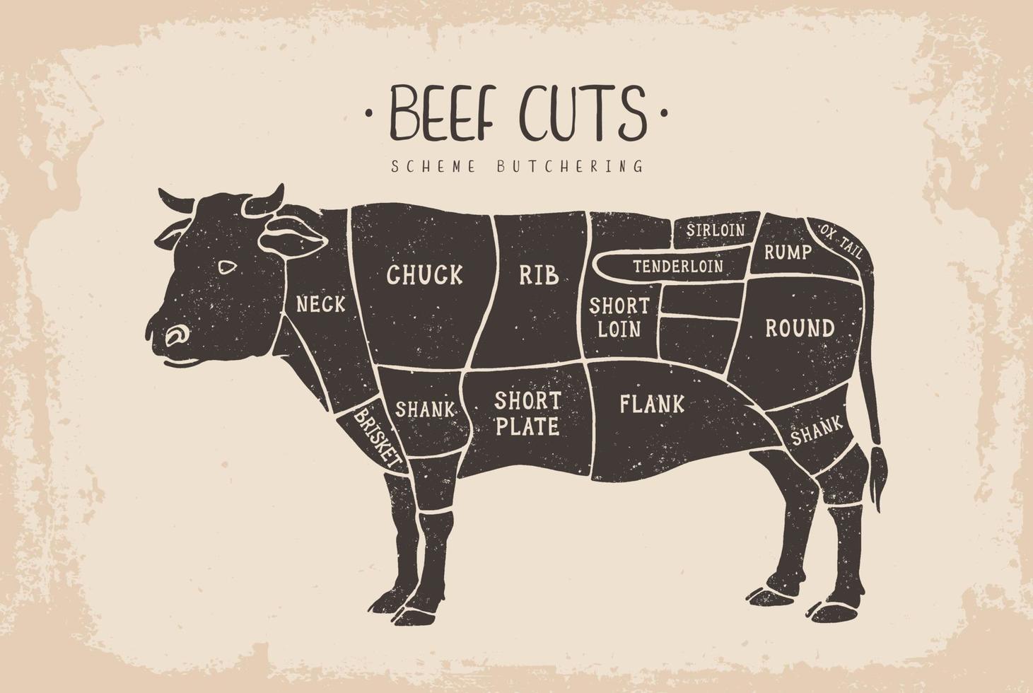 Beef cuts. Poster Butcher diagram for groceries, meat stores, butcher shop vector