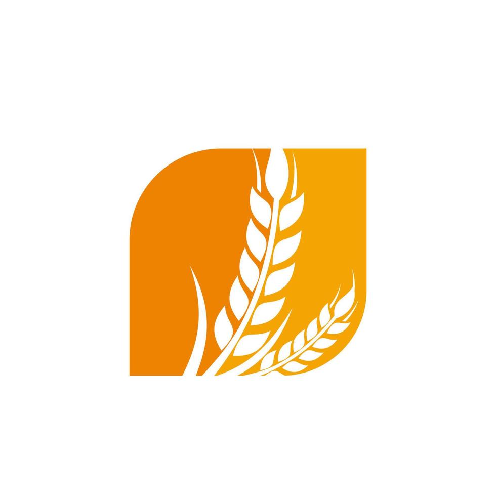 plantilla de vector de diseño de logotipo de agricultura de grano de trigo