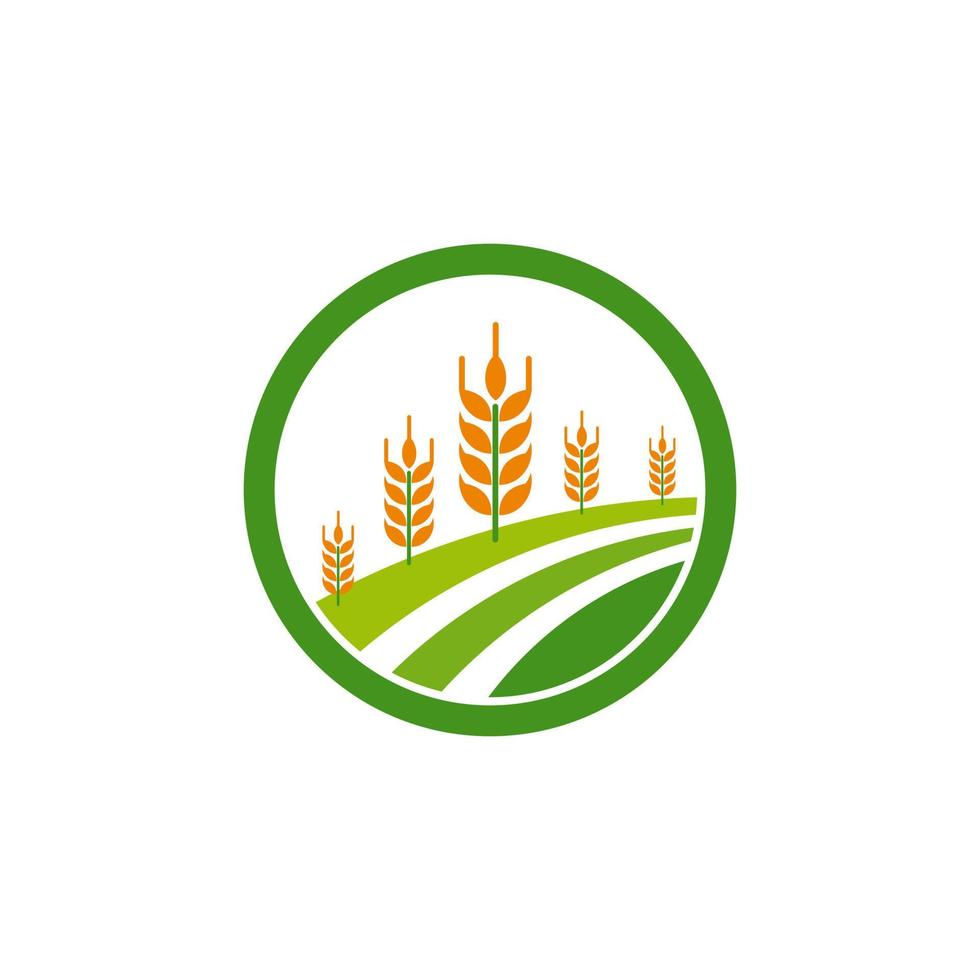 Wheat Grain Agriculture Logo Design Vector Template