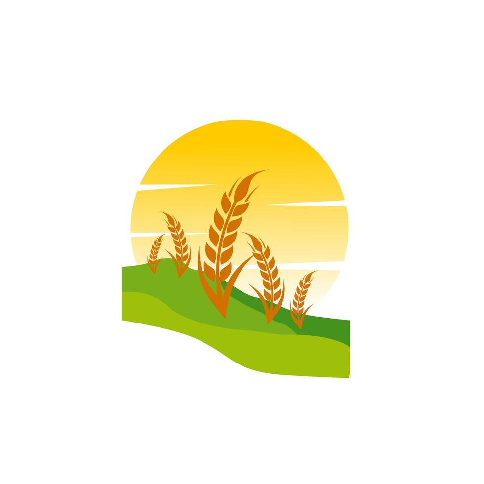 plantilla de vector de diseño de logotipo de agricultura de grano de trigo