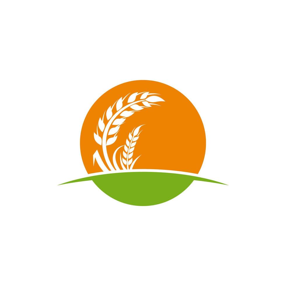 Wheat Grain Agriculture Logo Design Vector Template