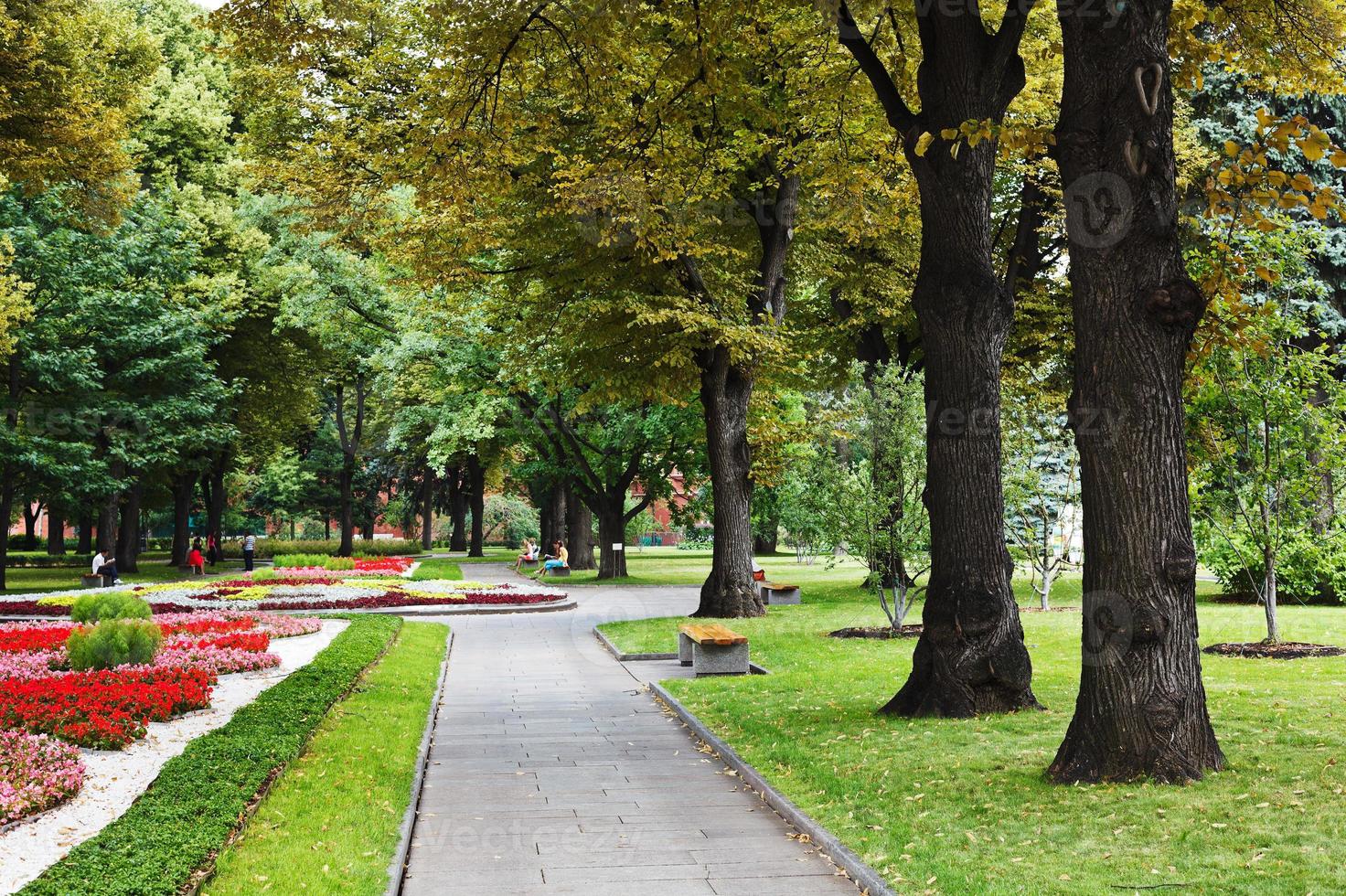 urban park in summer day photo