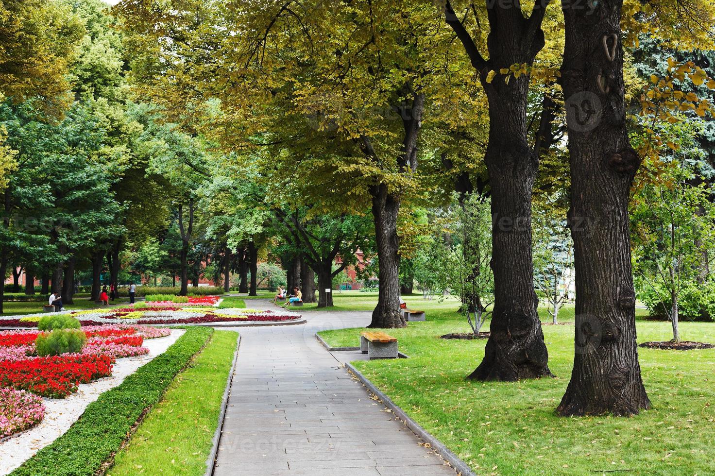 parque urbano en día de verano foto