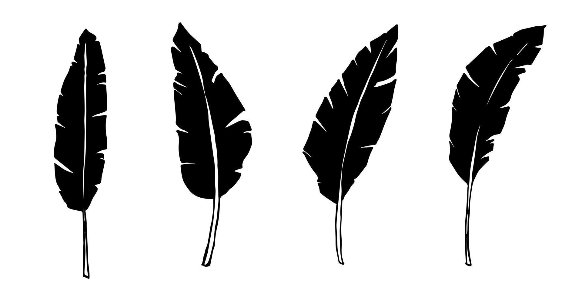 Set of simple tropical banana leaves illustration. Hand drawn vector clipart. Botanical doodle