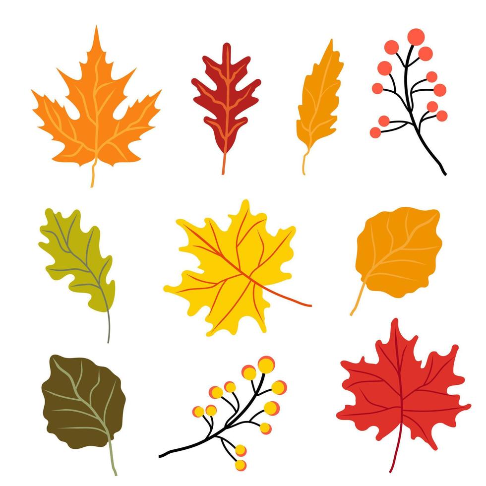 hojas de otoño sobre una ilustración de stock de fondo blanco vector