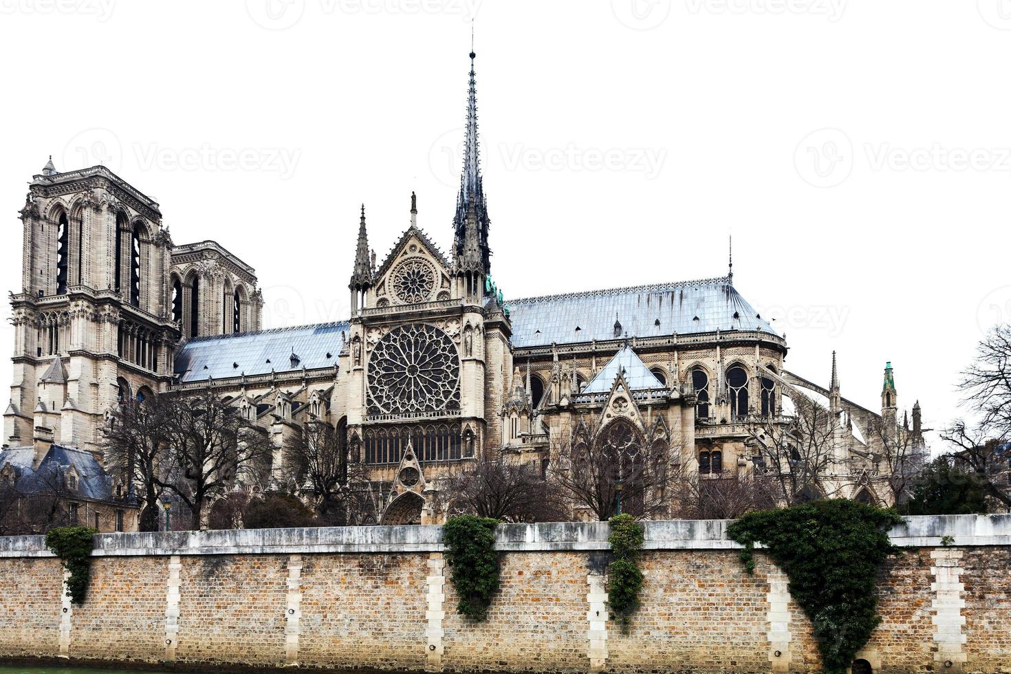 cathedral Notre Dame de Paris photo