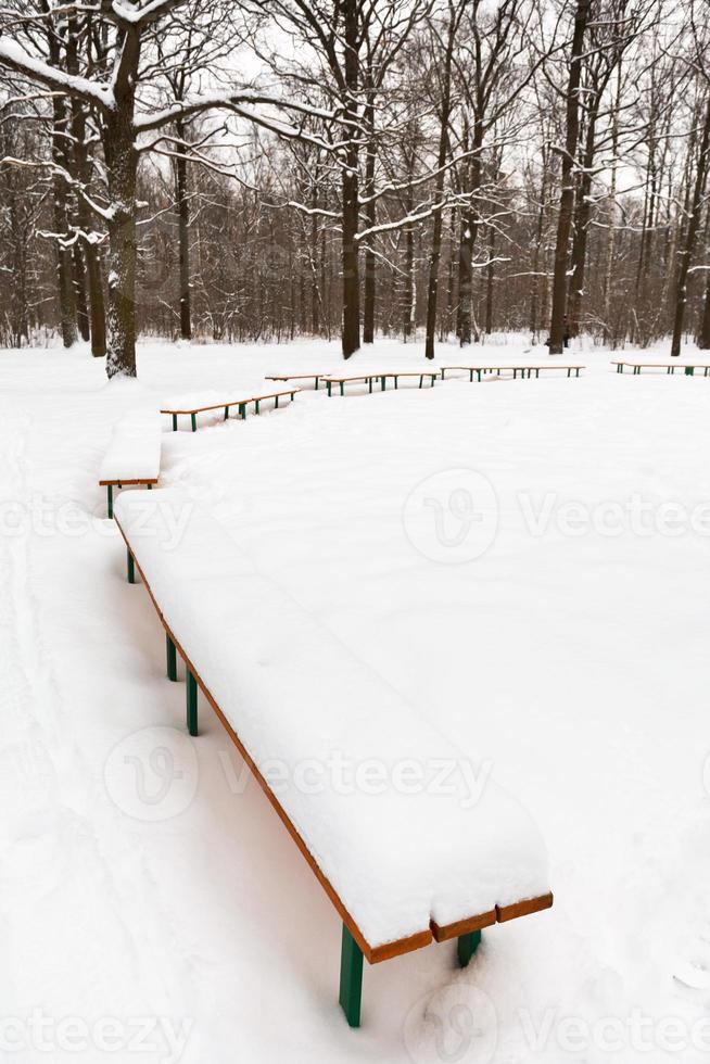 nieve en bancos en el parque de la ciudad foto