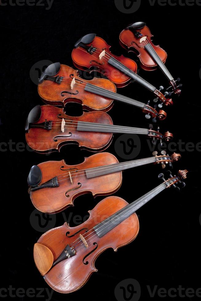 different sized violins on black photo