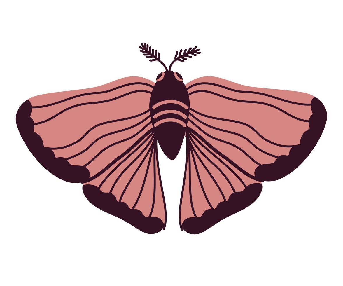 mariposa mística de la noche celestial. tatuaje temporal mágico esotérico. polilla elegante espiritual para el logotipo de la marca y la tienda de brujería y el salón cosmético. ilustración vectorial dibujada a mano vector