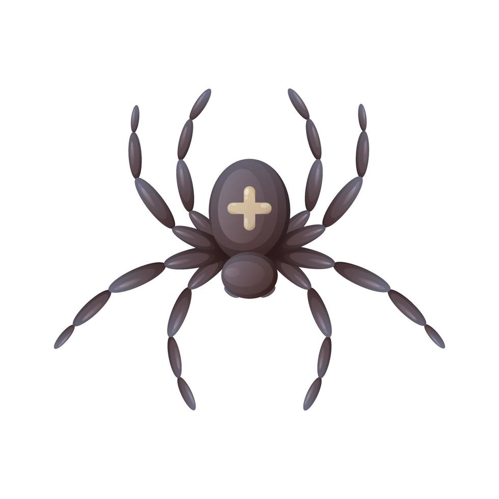 Spider with a cross on its back, top view, cartoon vector illustration