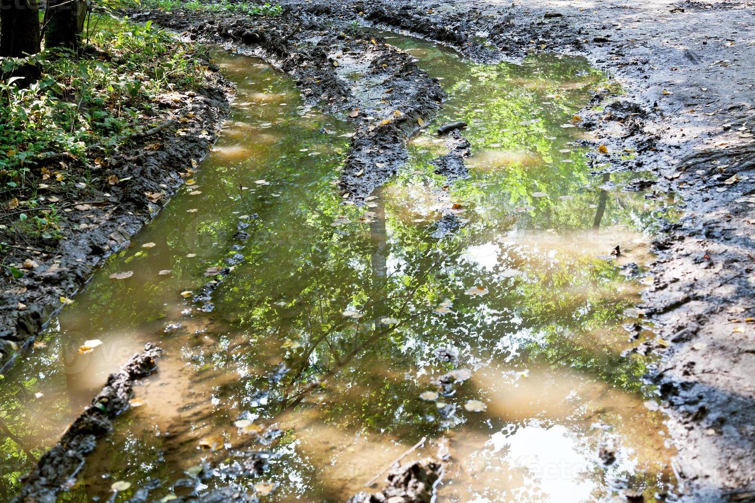 muddy rain puddle in deep car rut photo