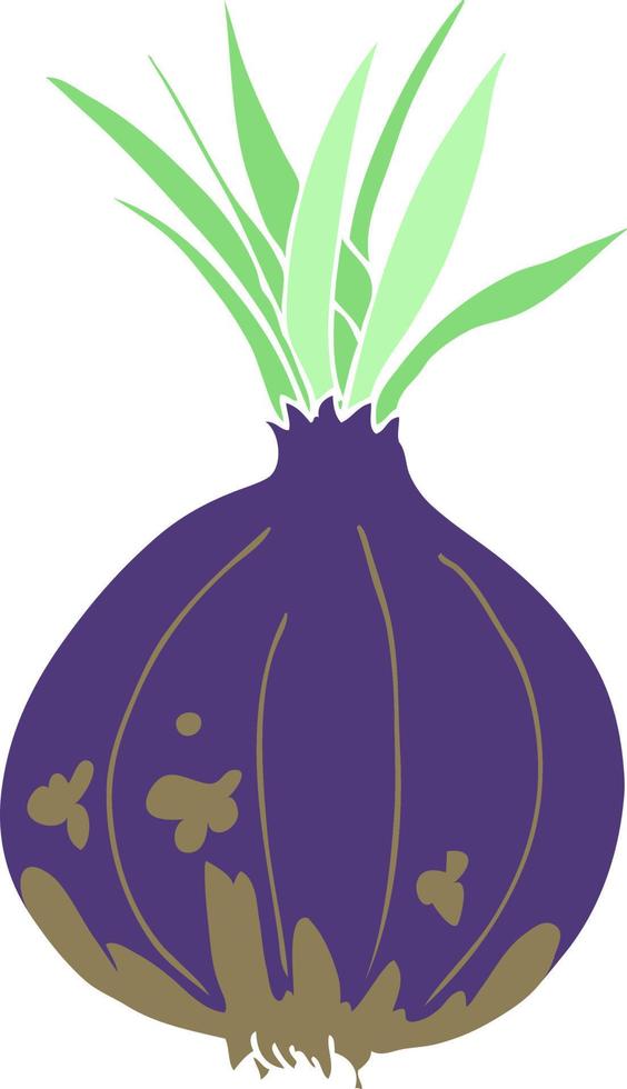 flat color illustration of onion vector