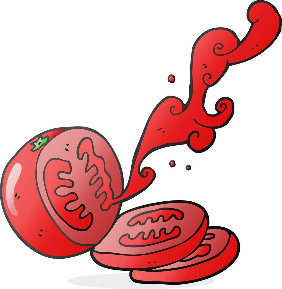 freehand drawn cartoon sliced tomato vector