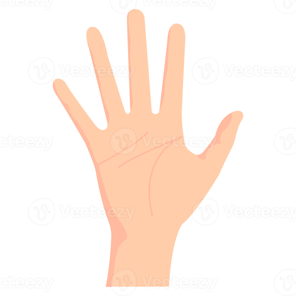 Hand body gesture ATL png