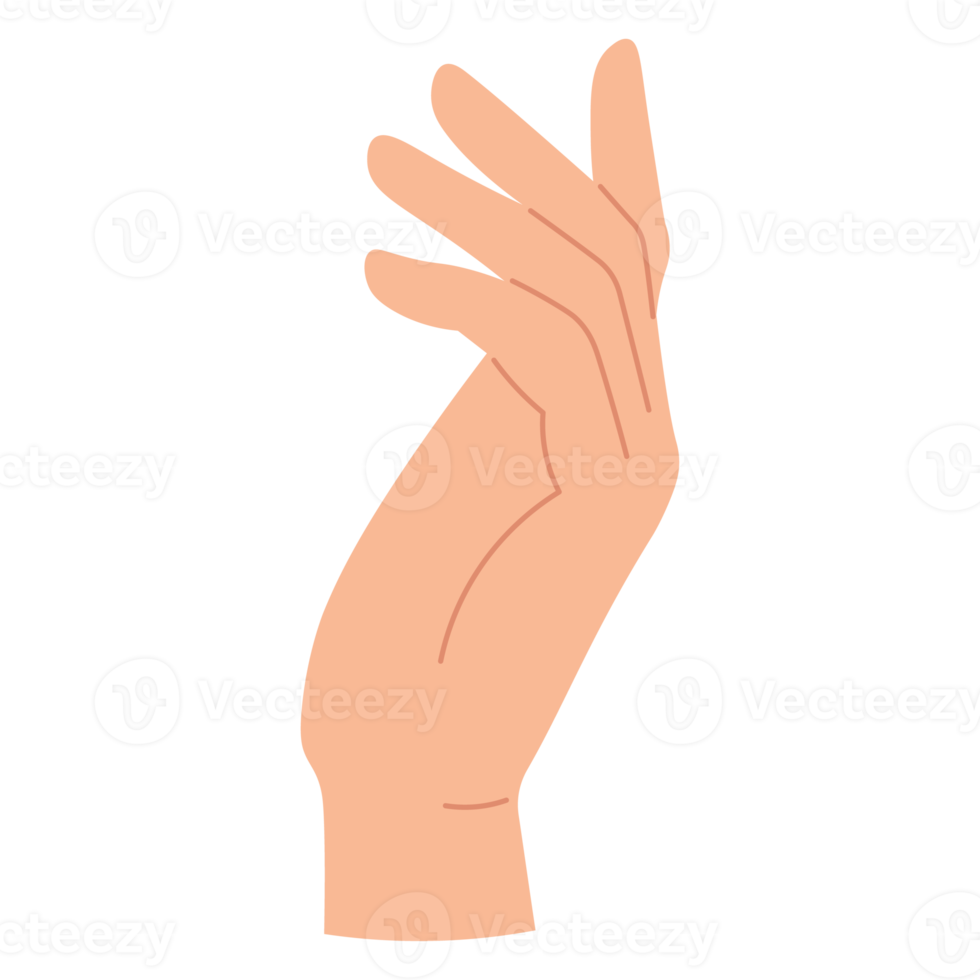 Hand body gesture ATL png