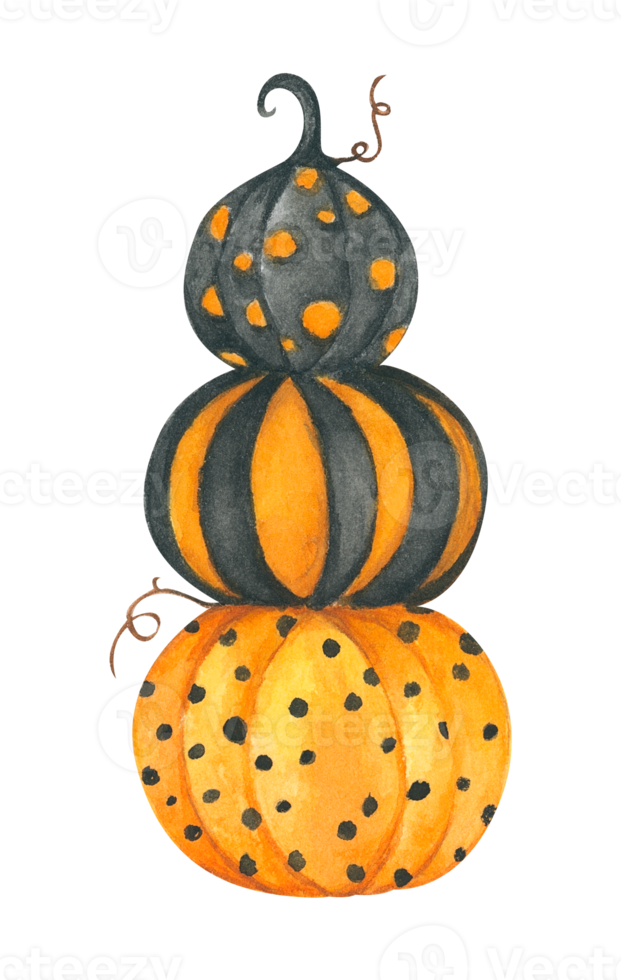 Watercolor pumpkin. Halloween. Autumn illustration. png