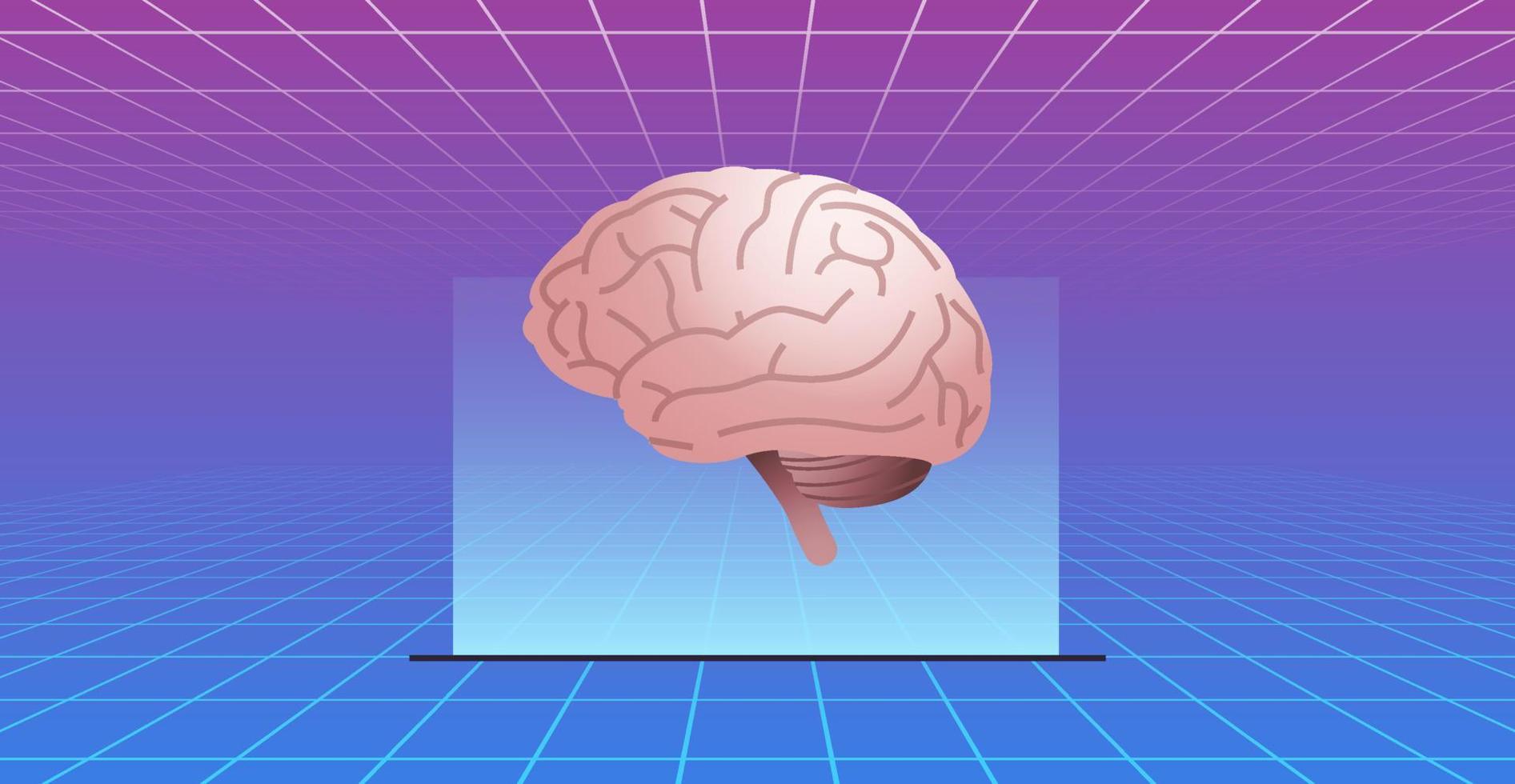 cerebro anatómico del órgano interno humano y concepto médico del cerebro humano ilustración vectorial plana. vector