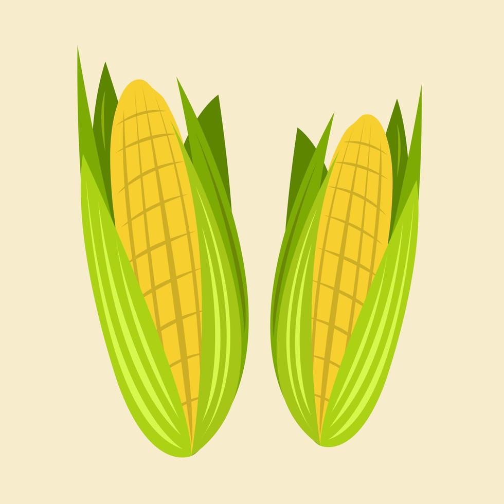 Sweet corn vector illustration for graphic design and decorative element