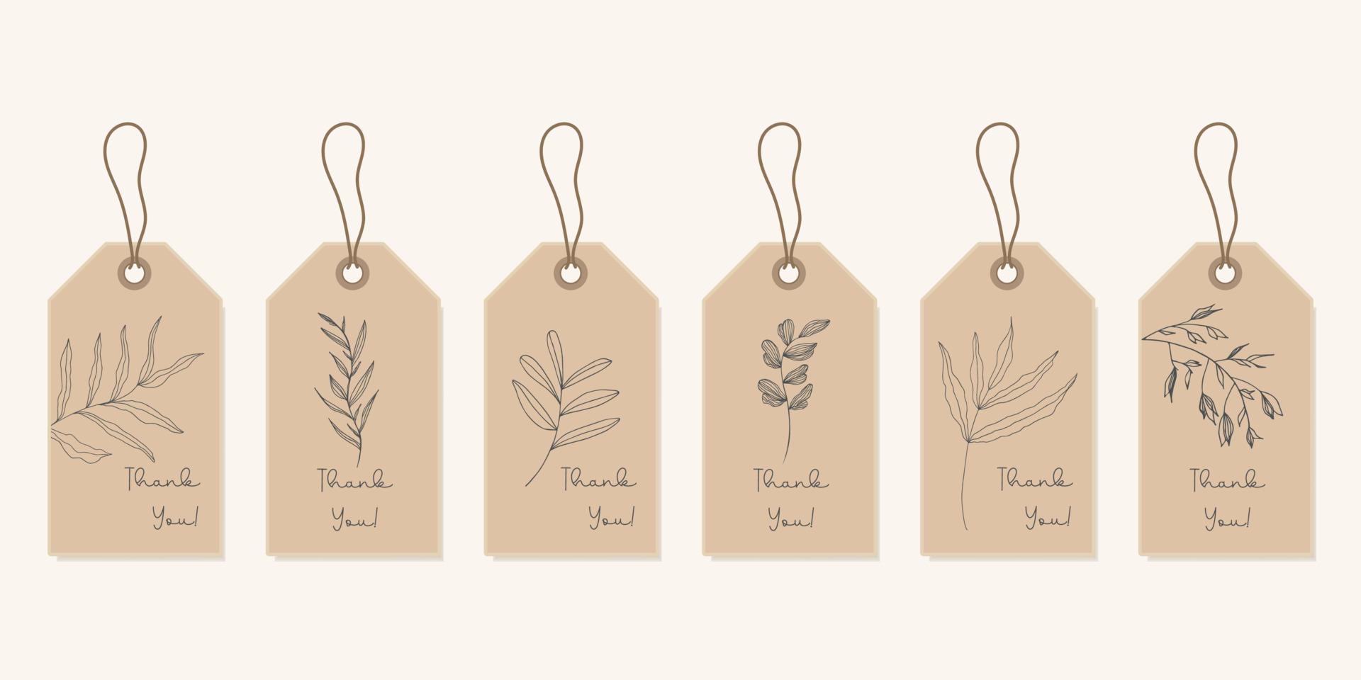 Set of plant illustrations . Minimalist labels for insulated leaf tags. A hand-drawn natural sign for a product tag in a simple rustic design. vector