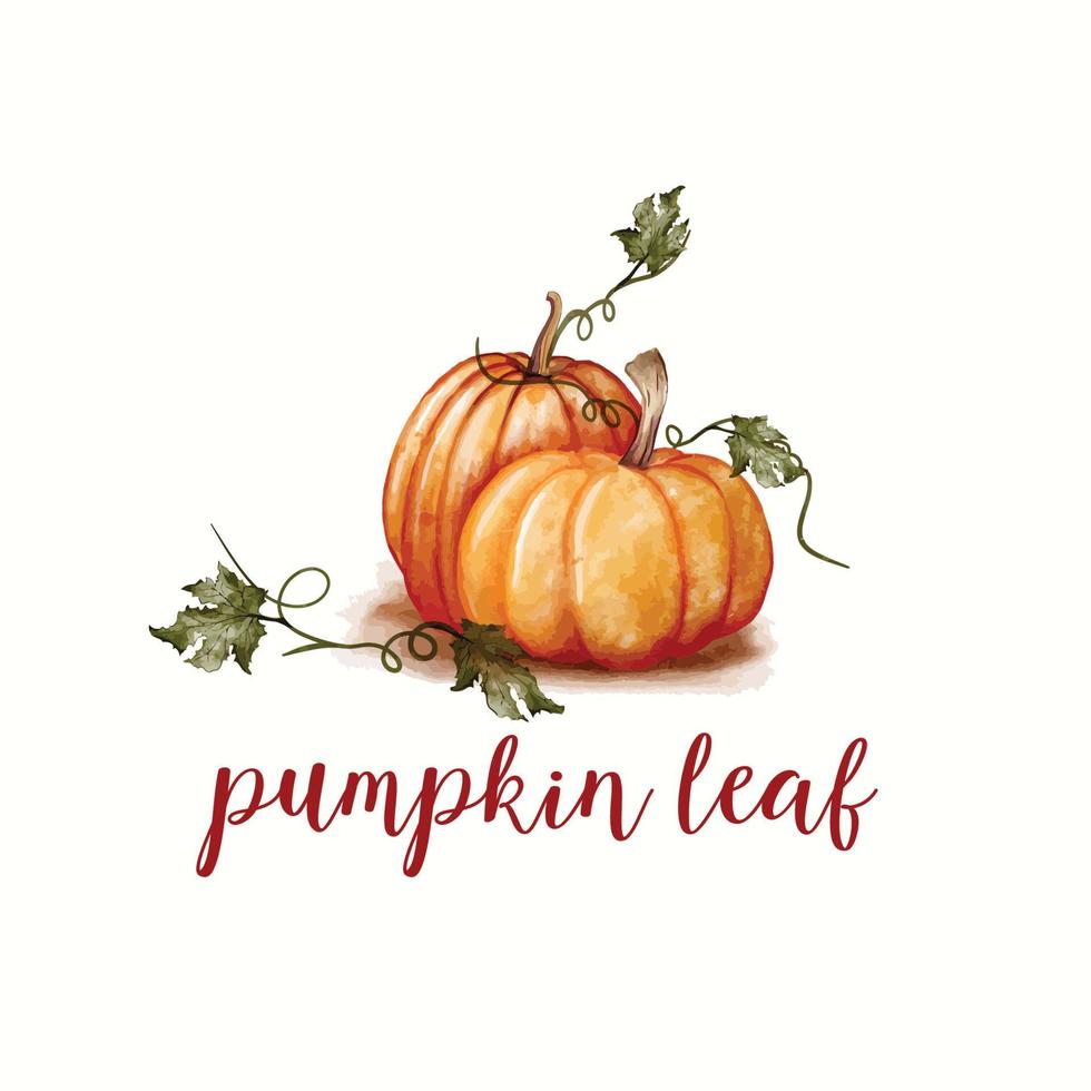 hand drawn watercolor pumpkin and leaves for halloween poster or invitation card design vector