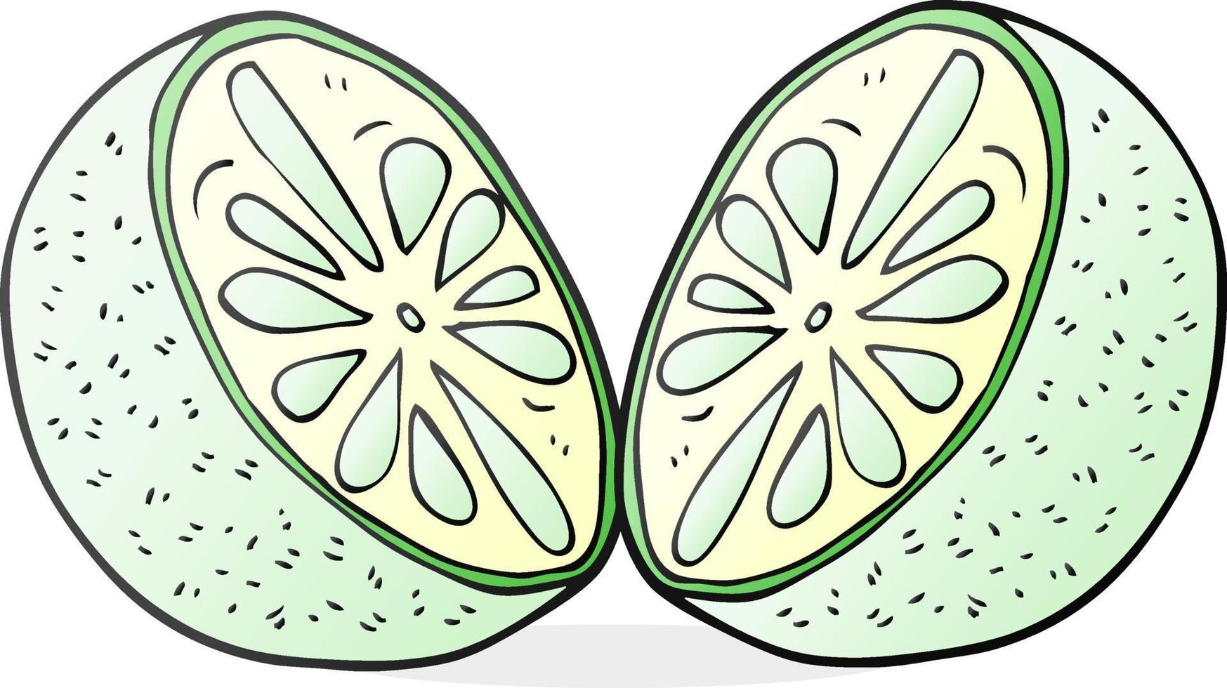 freehand drawn cartoon half melon vector