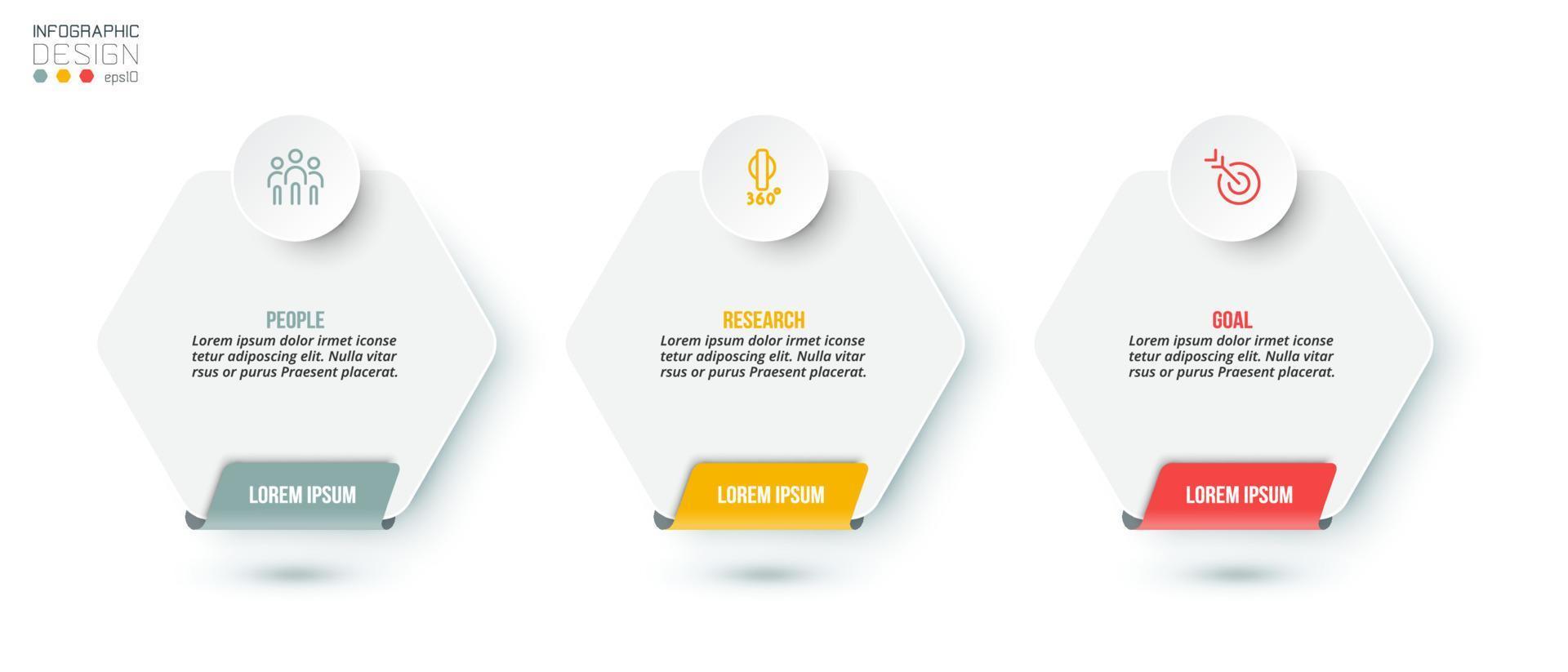 Business concept infographic template with option. vector