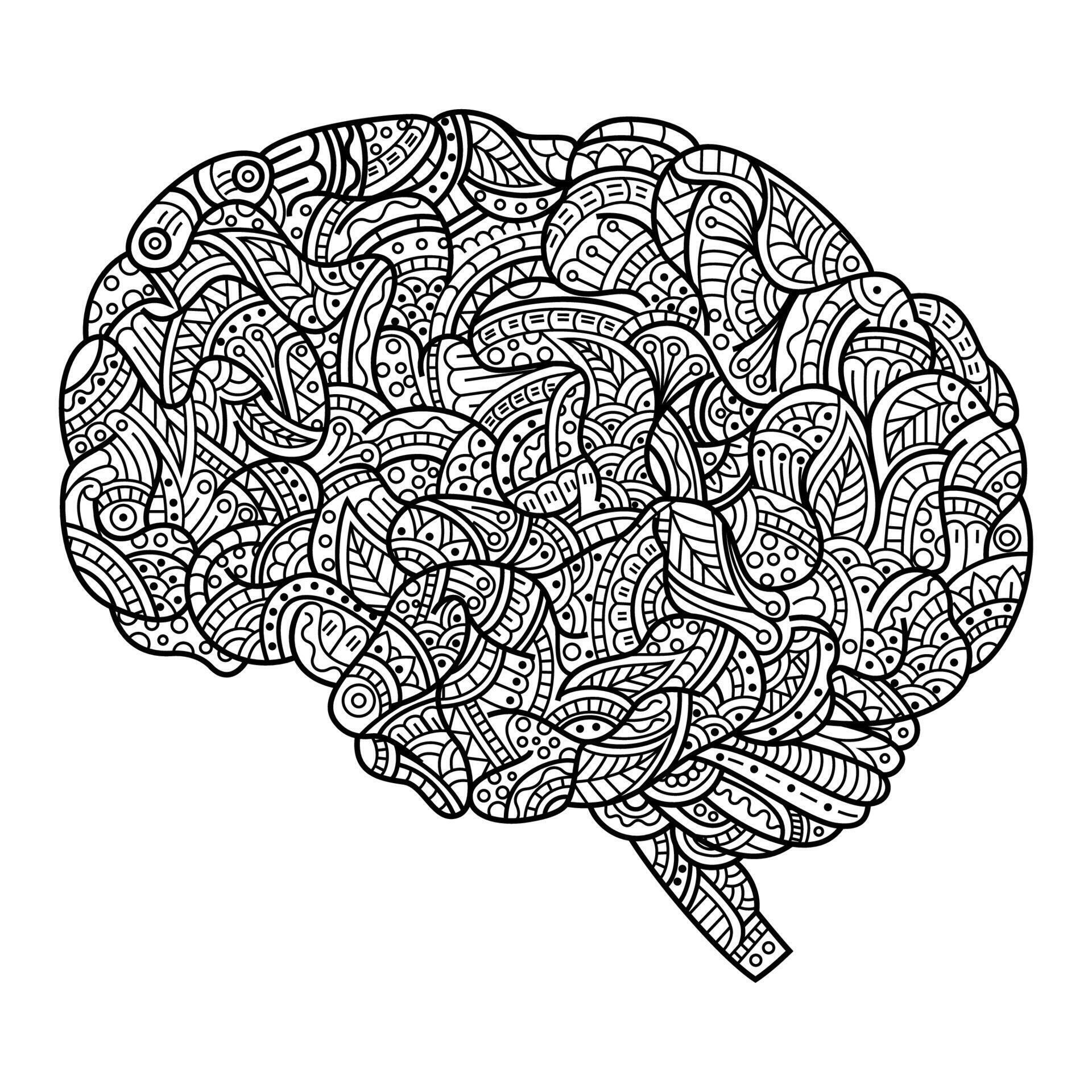 Brain Line Art
 Brain line art Vector Art at Vecteezy
