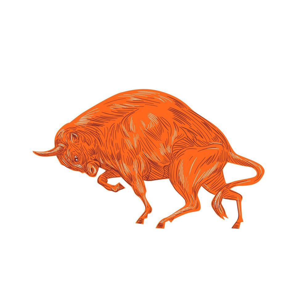 European Bison Charging Drawing vector