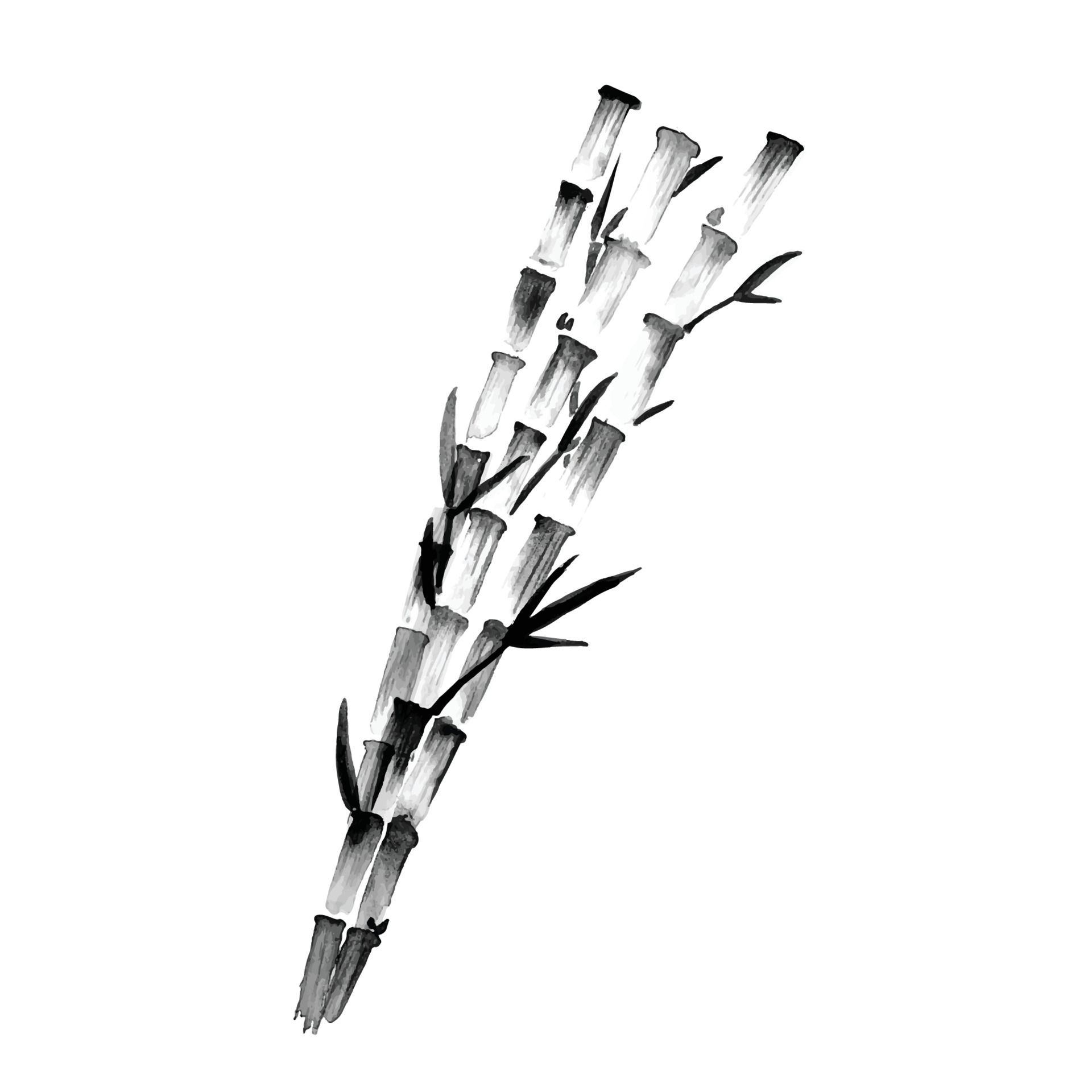 bamboo tree retro old line art etching vector 11864059 Vector Art at