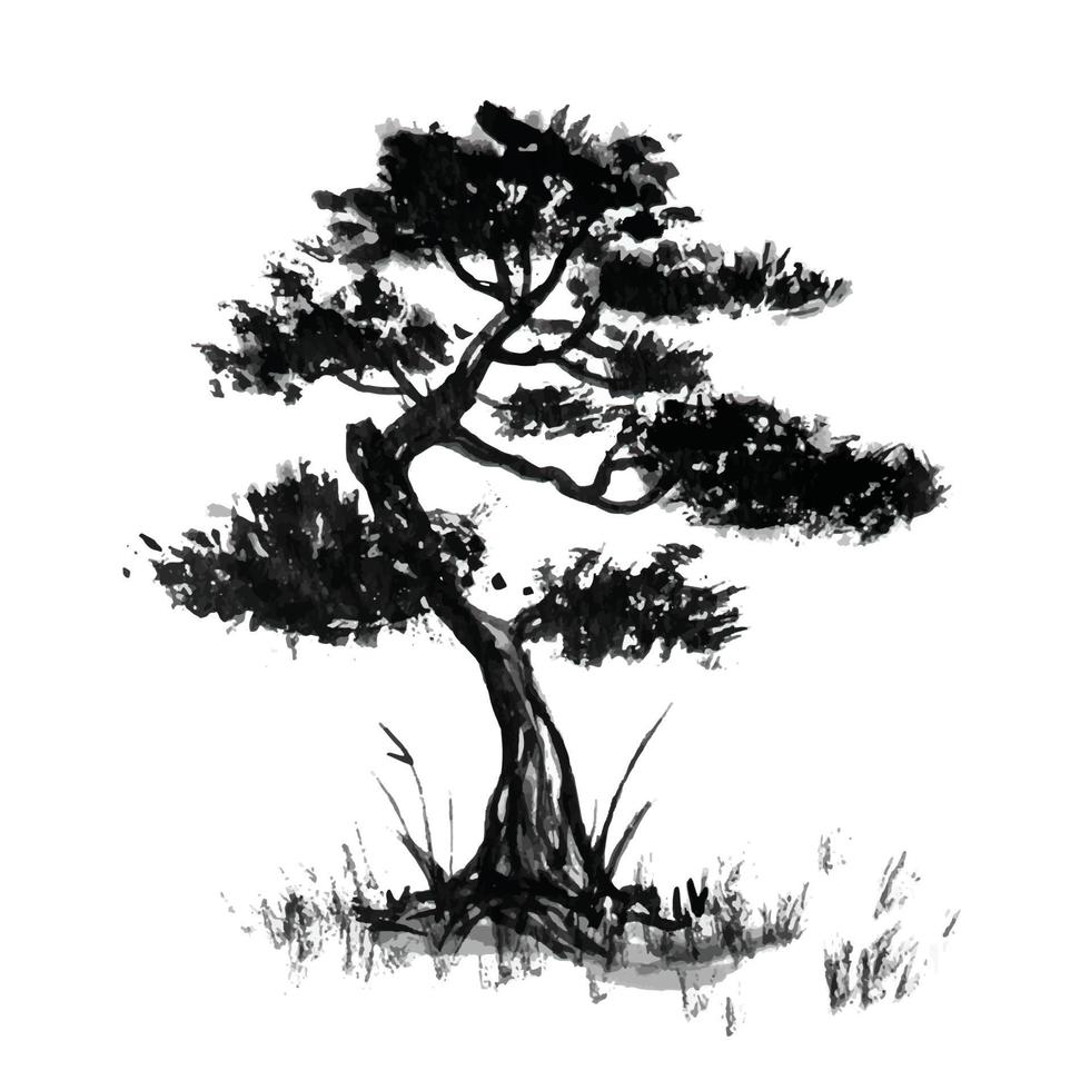 bonsai asian tree retro old line art etching vector