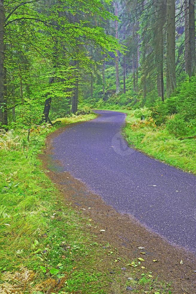 Autumn road in silent photo