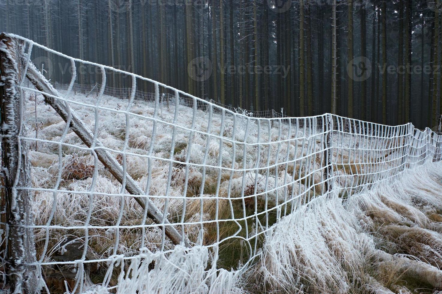 Hoarding and wood grass photo