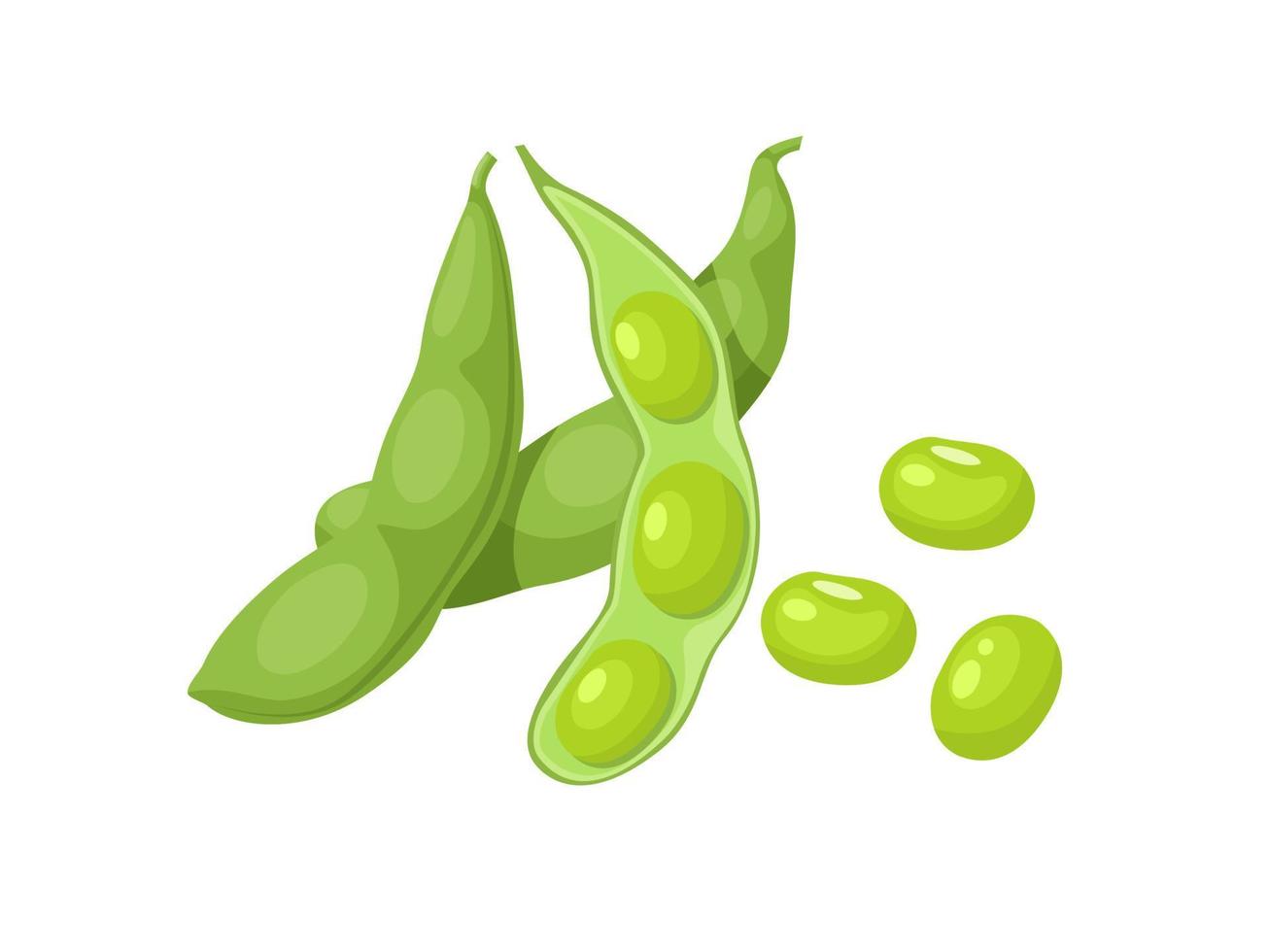 Vector illustration, edamame beans isolated on white background.
