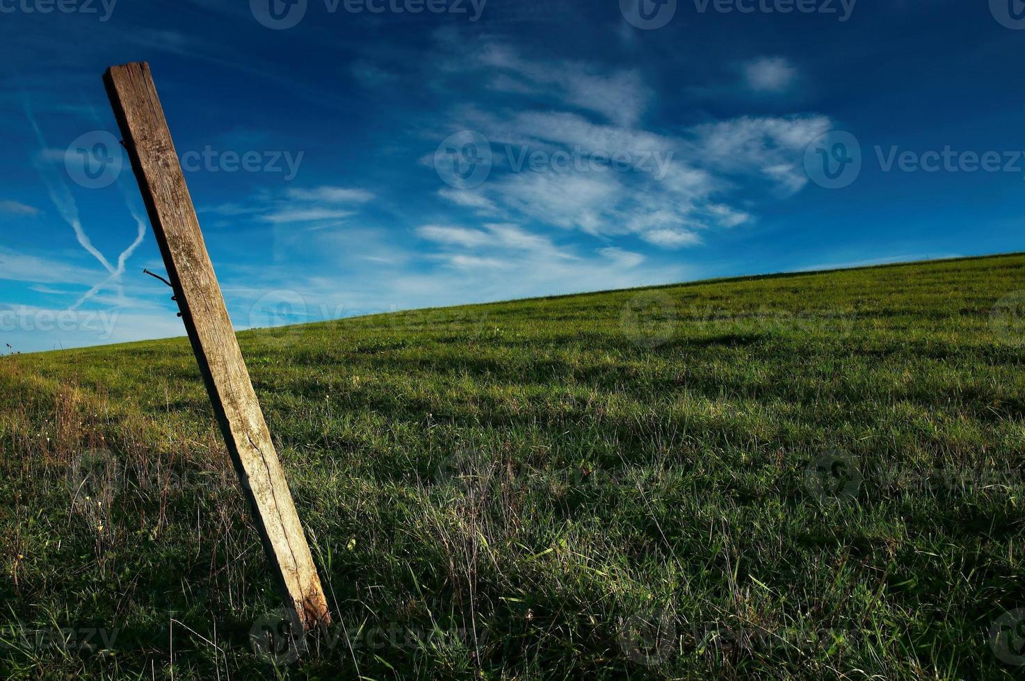 Post in a meadow photo