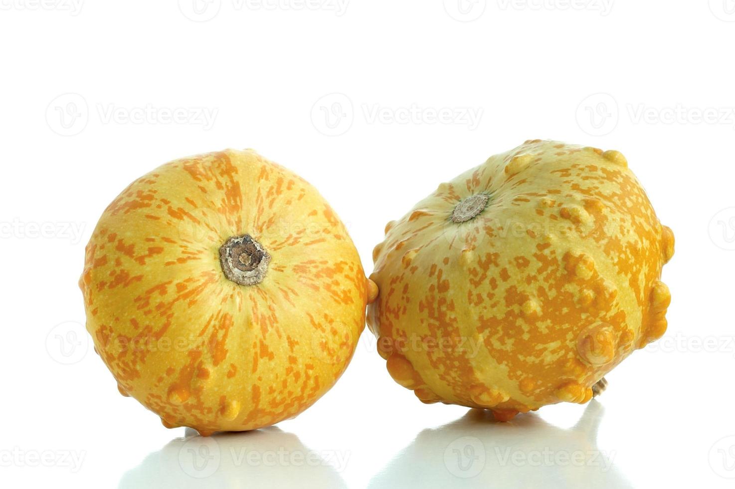 Colors of pumpkins photo