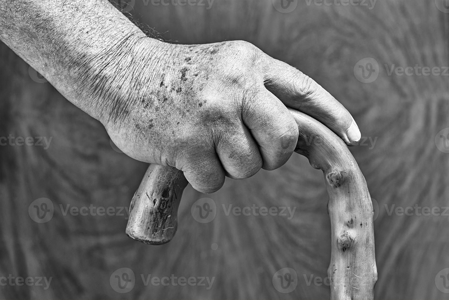 Hands and stick photo