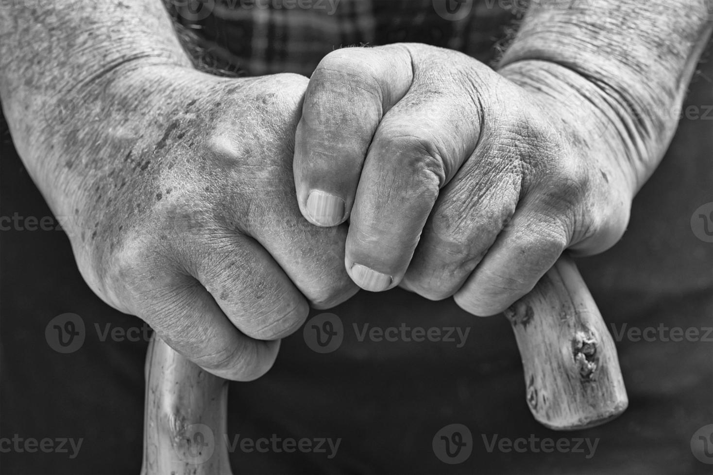 Hands and stick photo